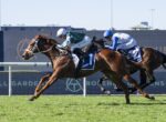 Two jockeys on thoroughbreds race neck-and-neck on a grass track