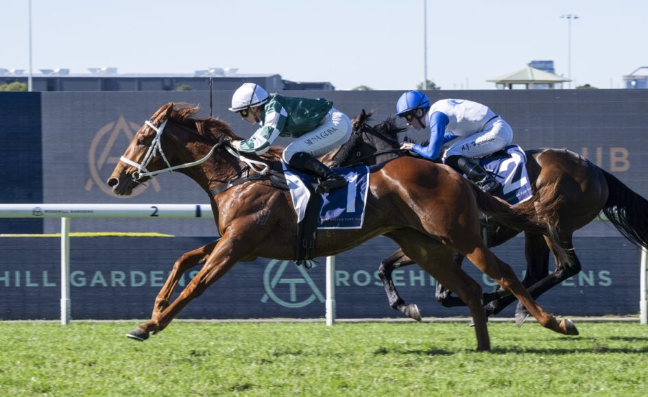 Two jockeys on thoroughbreds race neck-and-neck on a grass track