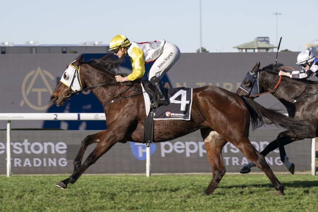 Jockey in yellow and white silks on a brown racehorse with number 4, leading a sprint on a grass track.