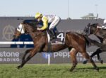 Jockey in yellow and white silks on a brown racehorse with number 4, leading a sprint on a grass track.
