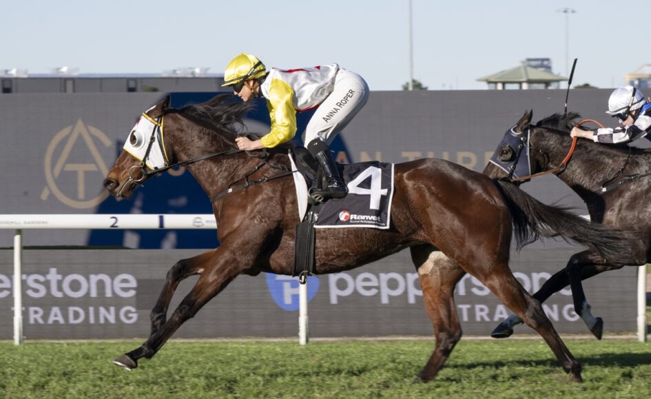 Jockey in yellow and white silks on a brown racehorse with number 4, leading a sprint on a grass track.