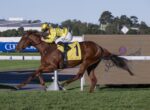 Horse and jockey in yellow silks sprint on a racecourse, horse wearing number 1 saddle cloth on a grassy track.