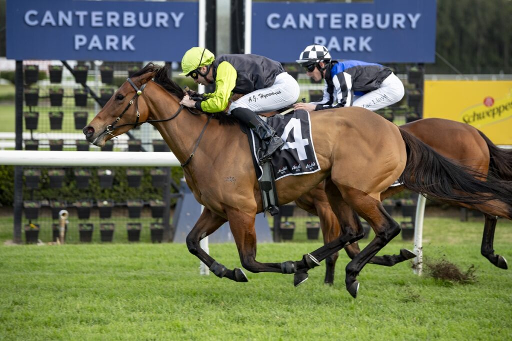 Two racehorses and jockeys sprinting on a turf track under a Canterbury Park sign, in mid-race action.
