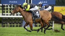 Two racehorses and jockeys sprinting on a turf track under a Canterbury Park sign, in mid-race action.