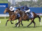 Two jockeys race side by side on brown horses during a turf race, #3 blue-checked saddlecloth visible on the lead horse.