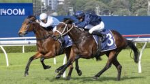 Two jockeys race side by side on brown horses during a turf race, #3 blue-checked saddlecloth visible on the lead horse.