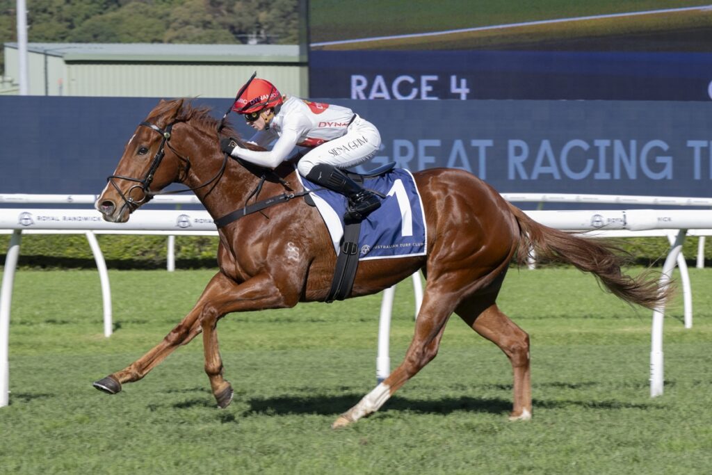 Chestnut racehorse gallops on a green turf track with jockey in white silks and red helmet, saddlecloth number 1, Race 4 banner in background.