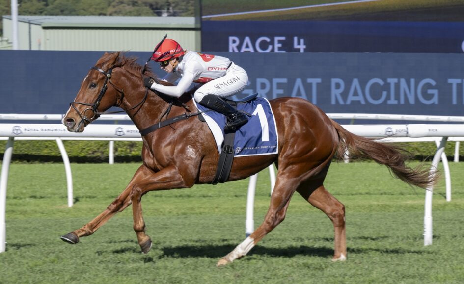 Chestnut racehorse gallops on a green turf track with jockey in white silks and red helmet, saddlecloth number 1, Race 4 banner in background.