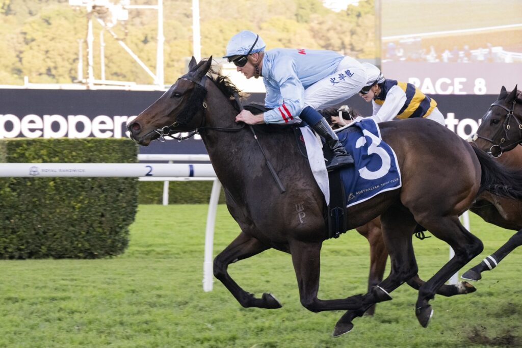Dark brown racehorse wearing blue saddlecloth with number 3, ridden by a light-blue silks jockey, sprinting on a grass track with a trailing horse close behind.