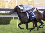 Dark brown racehorse wearing blue saddlecloth with number 3, ridden by a light-blue silks jockey, sprinting on a grass track with a trailing horse close behind.