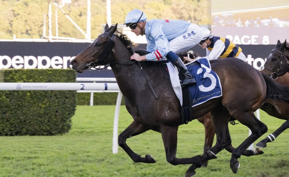 Dark brown racehorse wearing blue saddlecloth with number 3, ridden by a light-blue silks jockey, sprinting on a grass track with a trailing horse close behind.
