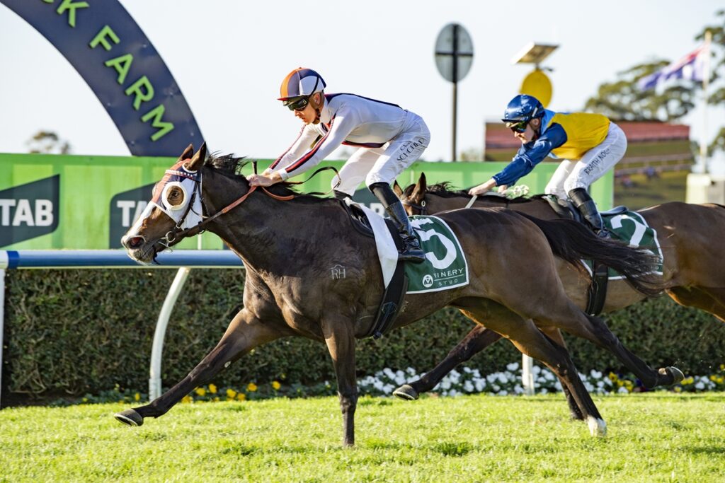 A jockey in white leads a galloping horse with a green number 5 saddle cloth during a race on a sunny day.