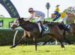 A jockey in white leads a galloping horse with a green number 5 saddle cloth during a race on a sunny day.
