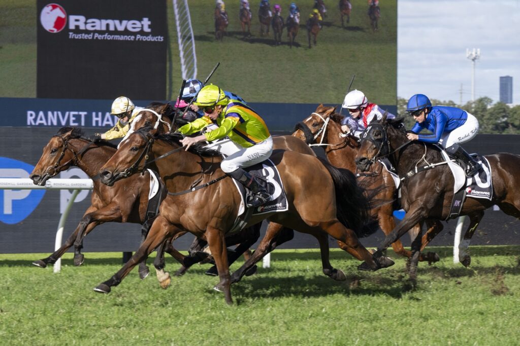 Horses and jockeys race down a grassy track, colorful silks in a tight pack as they sprint toward the finish line.