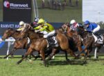 Horses and jockeys race down a grassy track, colorful silks in a tight pack as they sprint toward the finish line.