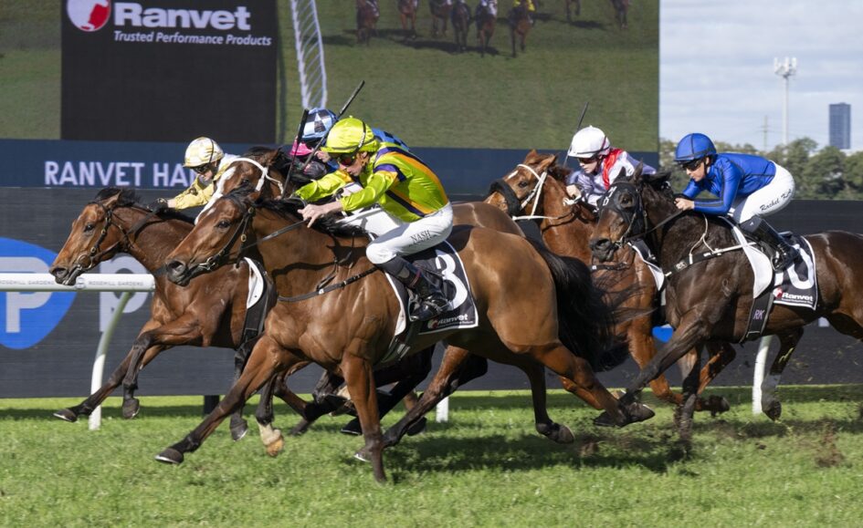 Horses and jockeys race down a grassy track, colorful silks in a tight pack as they sprint toward the finish line.