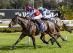 Two jockeys in colorful silks ride sprinting brown horses on a grassy race track, leaning forward in a tight horse race.