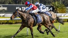 Two jockeys in colorful silks ride sprinting brown horses on a grassy race track, leaning forward in a tight horse race.