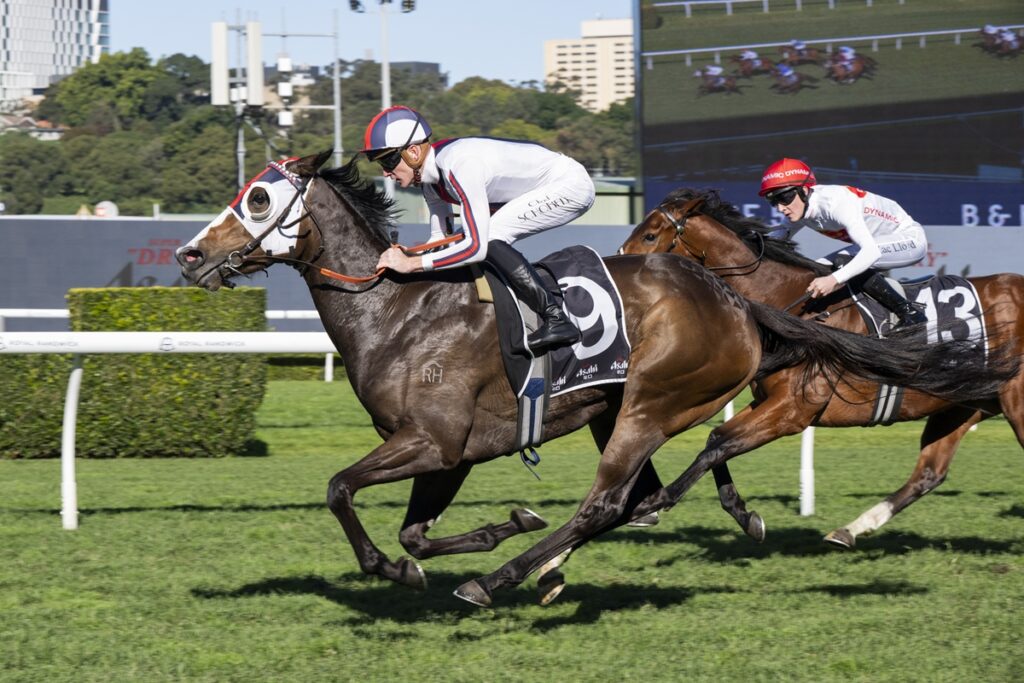 Jockeys race on galloping horses downslope on a bright track, leading horse in white silks with red-and-blue cap.