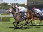 Jockeys race on galloping horses downslope on a bright track, leading horse in white silks with red-and-blue cap.