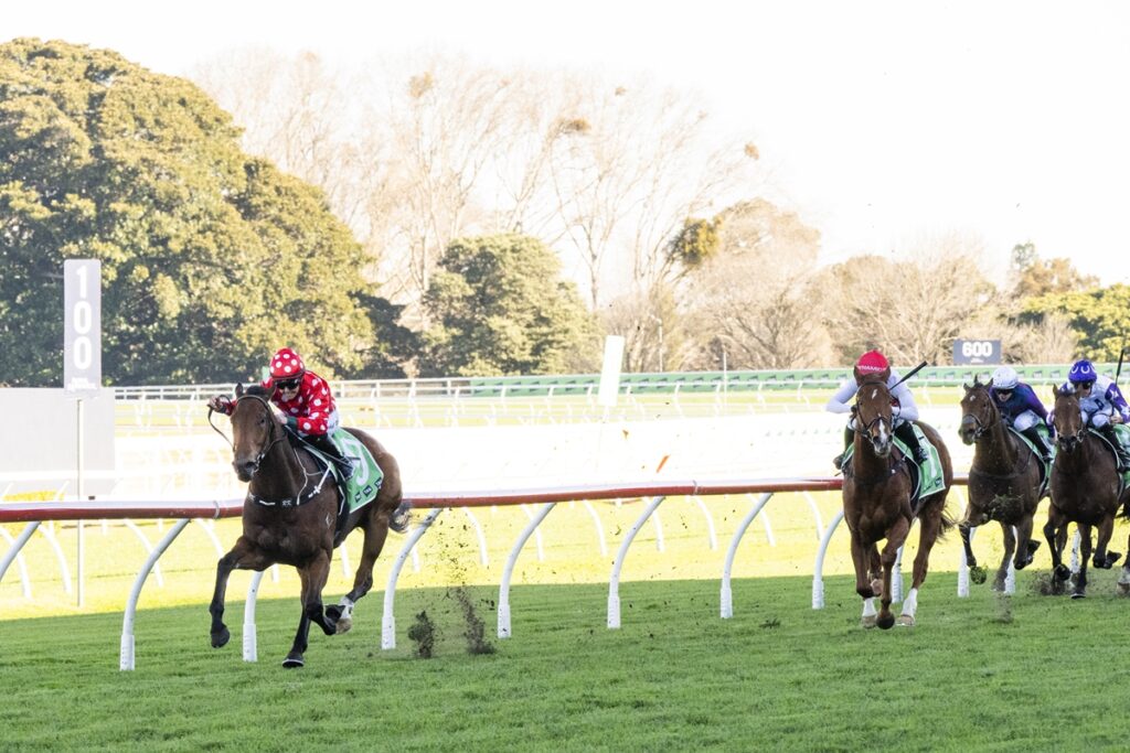 A jockey in a red polka-dot outfit rides a brown horse at the front during a horse race on a grassy track.