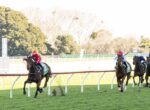 A jockey in a red polka-dot outfit rides a brown horse at the front during a horse race on a grassy track.