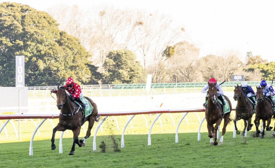 A jockey in a red polka-dot outfit rides a brown horse at the front during a horse race on a grassy track.