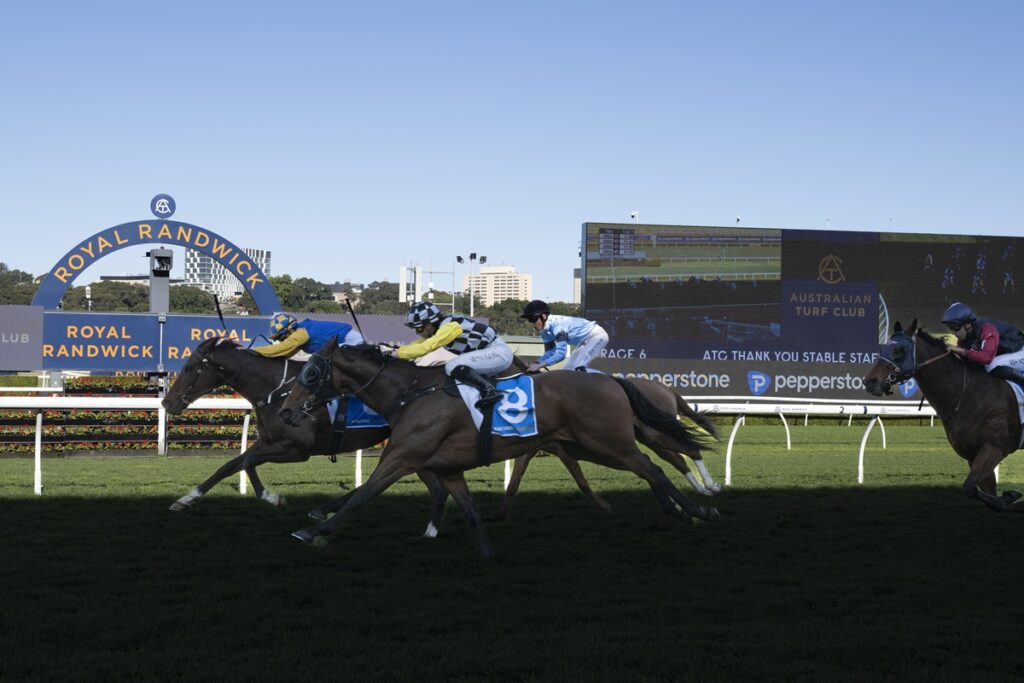 Horse race at Royal Randwick with jockeys in colorful silks charging down the turf, crowdless stands in the background.