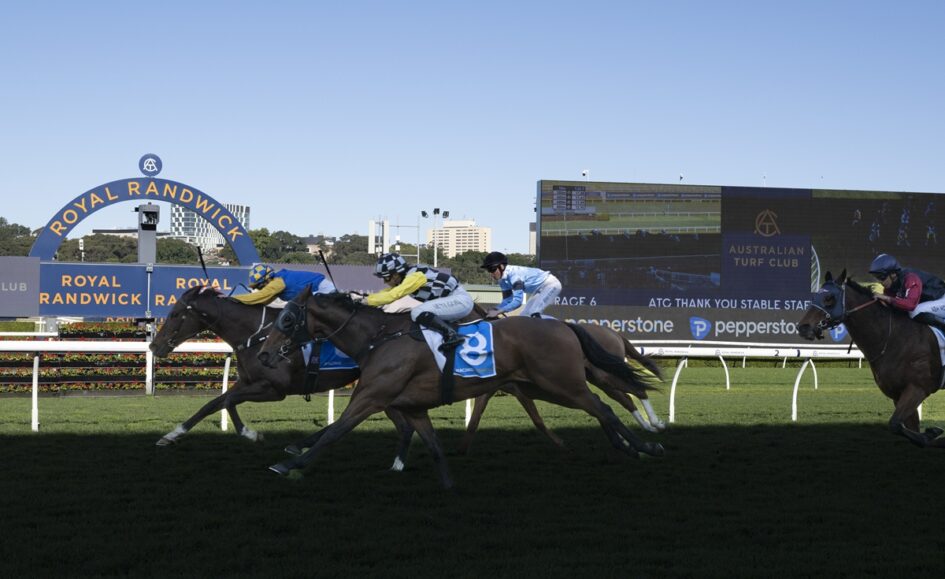Horse race at Royal Randwick with jockeys in colorful silks charging down the turf, crowdless stands in the background.