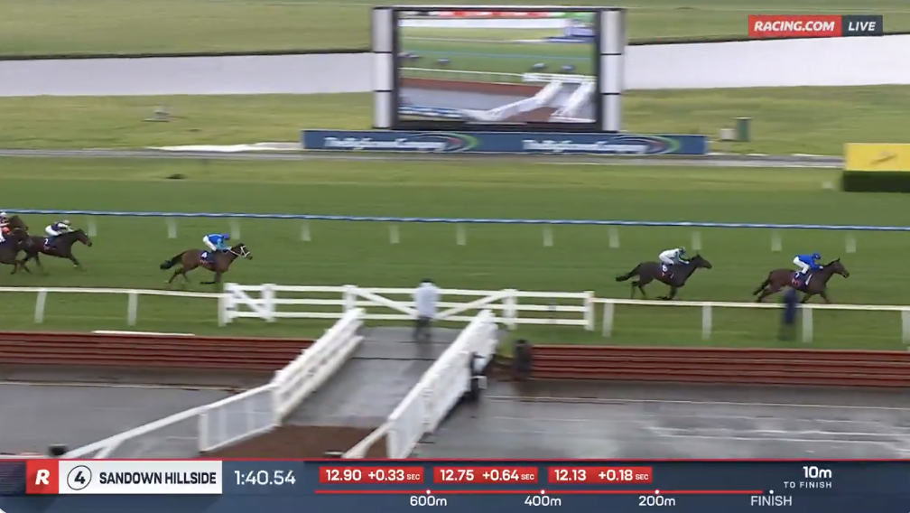 Horse race on turf at Sandown Hillside, blue-sleeved jockey leads a pack toward the finish with a large video screen in the background.