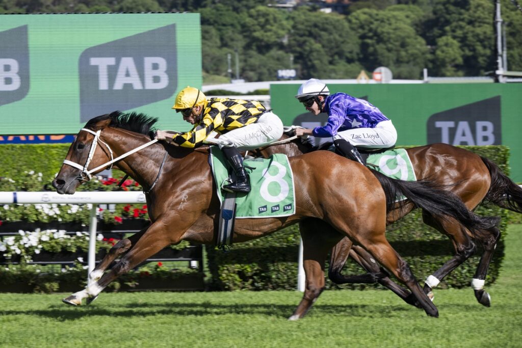 Two jockeys race their thoroughbreds neck-and-neck on a sunny turf course, with one horse wearing number 8 in green, while the other wears blue-and-white silks behind him.