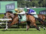 Two jockeys race their thoroughbreds neck-and-neck on a sunny turf course, with one horse wearing number 8 in green, while the other wears blue-and-white silks behind him.