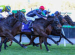Group of jockeys in colorful silks racing side by side on galloping horses.