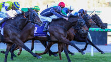 Group of jockeys in colorful silks racing side by side on galloping horses.