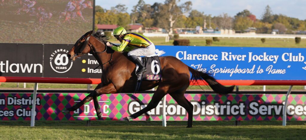 Jockey in neon yellow-green silks riding a brown horse during a race, number 6 saddlecloth, on a sunny track with advertising banners behind.