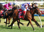 Racehorses and jockeys in colorful silks sprint on a turf track, close behind a leading brown horse with a white bridle.