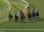 A group of horses racing around a curved turf track, jockeys in colorful silks, close to the inside rail.