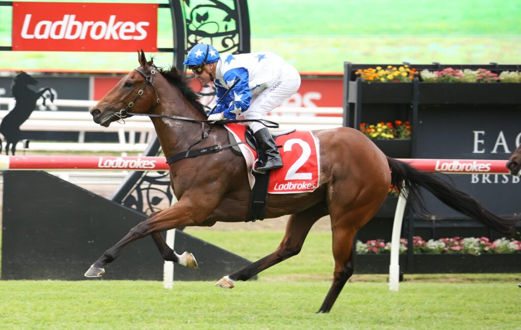 Jockey in blue and white star-patterned silks rides a brown horse jumping a hurdle at a Ladbrokes-branded racecourse