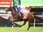 Jockey in blue and white star-patterned silks rides a brown horse jumping a hurdle at a Ladbrokes-branded racecourse