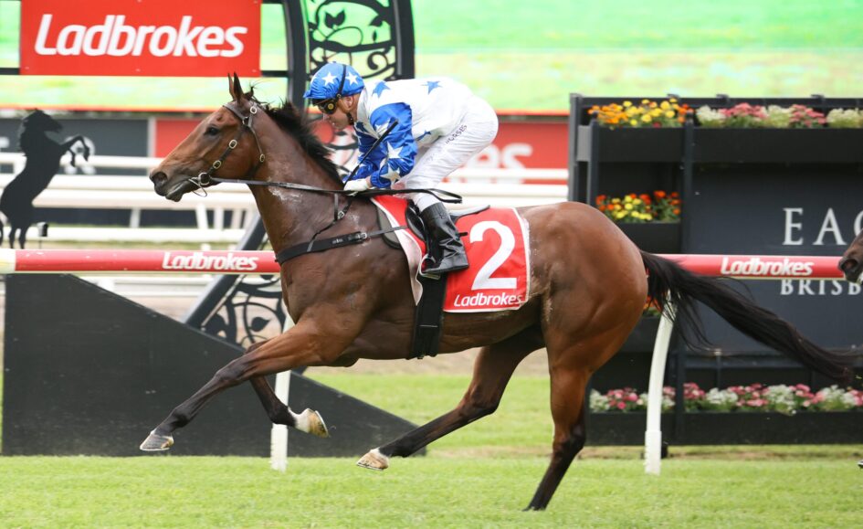 Jockey in blue and white star-patterned silks rides a brown horse jumping a hurdle at a Ladbrokes-branded racecourse