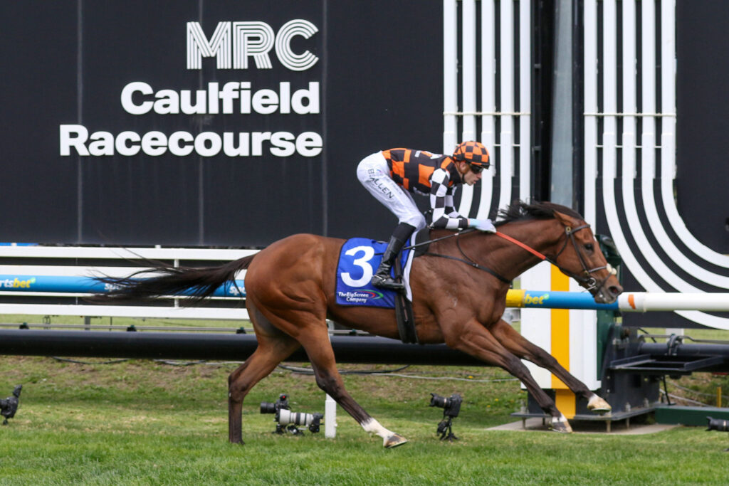 Jockey in orange and black checkered silks riding a brown horse at Caulfield Racecourse with a black wall and white signage in the background