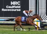 Jockey in orange and black checkered silks riding a brown horse at Caulfield Racecourse with a black wall and white signage in the background