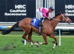 Jockey in pink and white silks riding a galloping bay horse on a grassy racetrack with MRC Caulfield Racecourse signage in the background.
