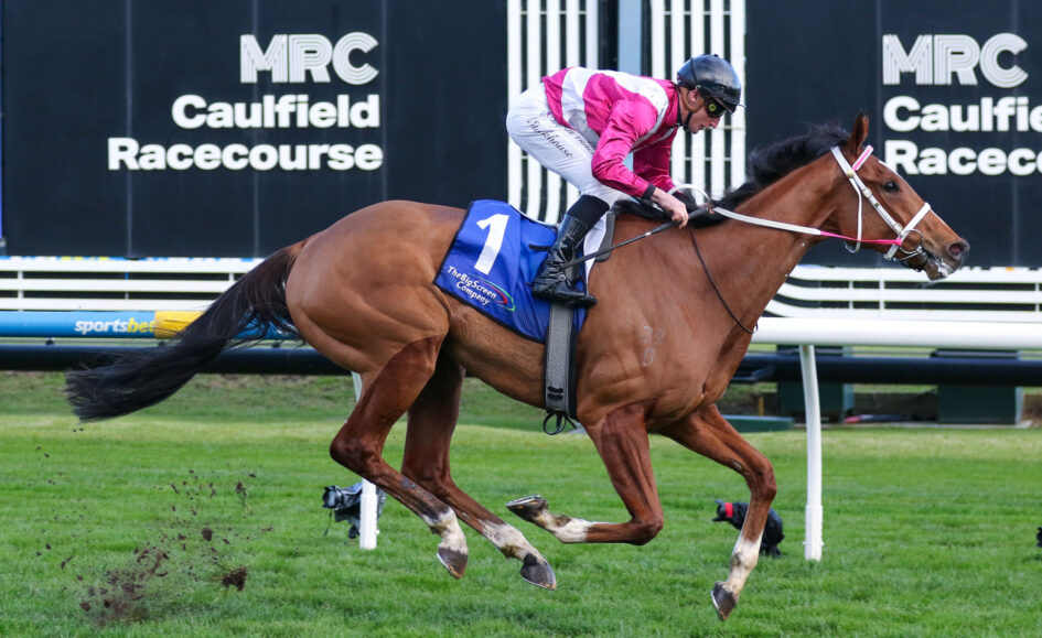 Jockey in pink and white silks riding a galloping bay horse on a grassy racetrack with MRC Caulfield Racecourse signage in the background.