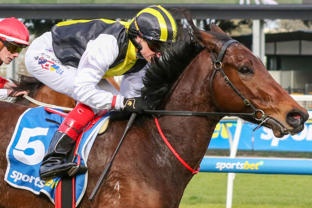Jockey leaning forward on a brown racehorse during a race, wearing yellow and black silks and a matching helmet with visor gear.
