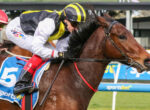Jockey leaning forward on a brown racehorse during a race, wearing yellow and black silks and a matching helmet with visor gear.