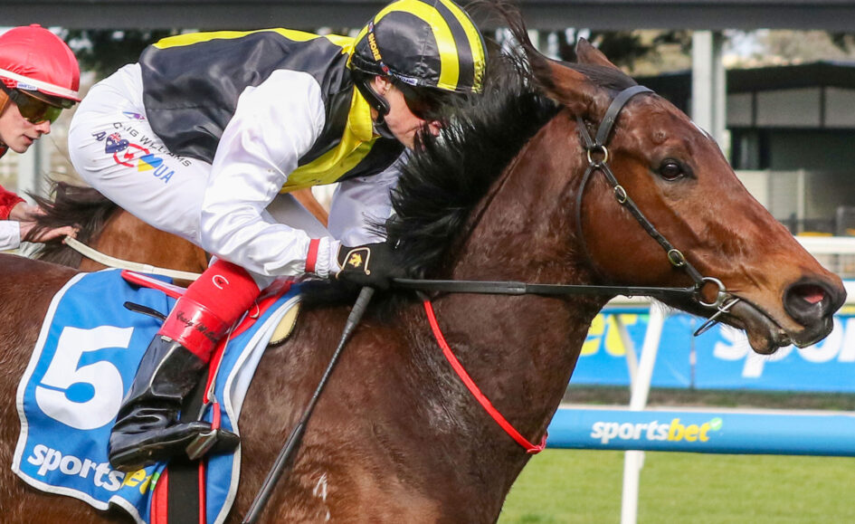 Jockey leaning forward on a brown racehorse during a race, wearing yellow and black silks and a matching helmet with visor gear.
