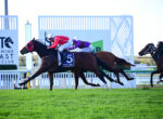 Two jockeys on racing horses leap forward along a white railing on a bright day, the lead rider in red and white ahead of others over green grass.