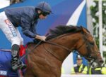 Jockey in navy jacket and white pants riding a brown horse during a race, with blue rails in the background.