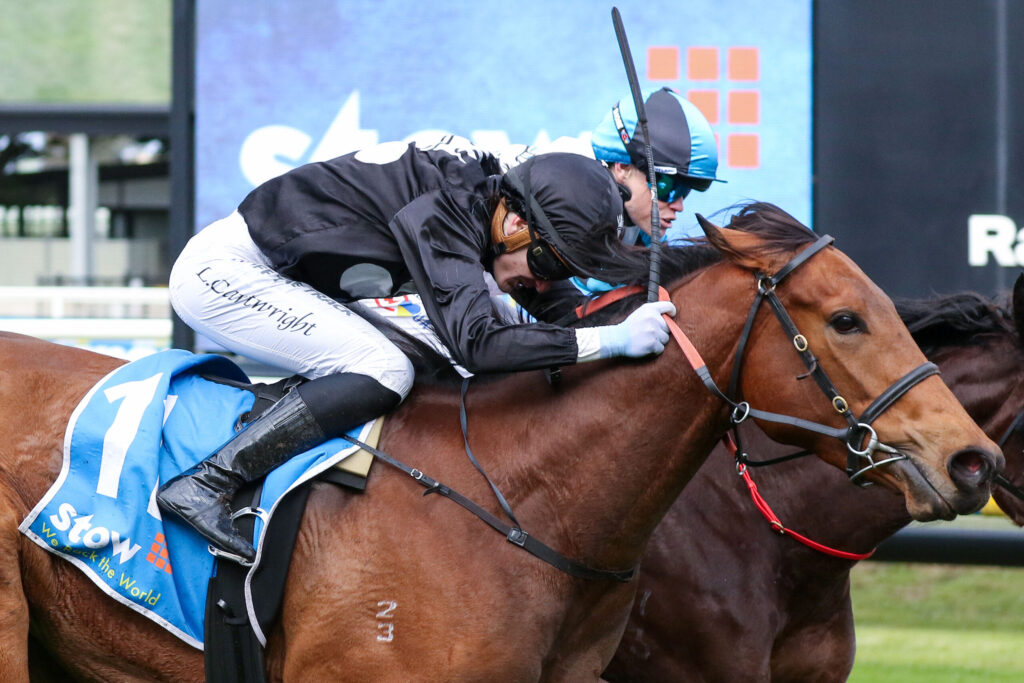 Two jockeys race side by side on brown horses in a close finish, wearing blue and black silks and helmets under a stadium backdrop.